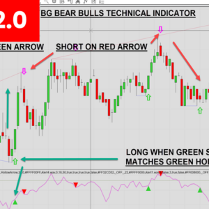 BSG Bear Bulls Indicator - Annual Subscription