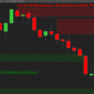 BSG Supply Demand Indicator - Annual Subscription